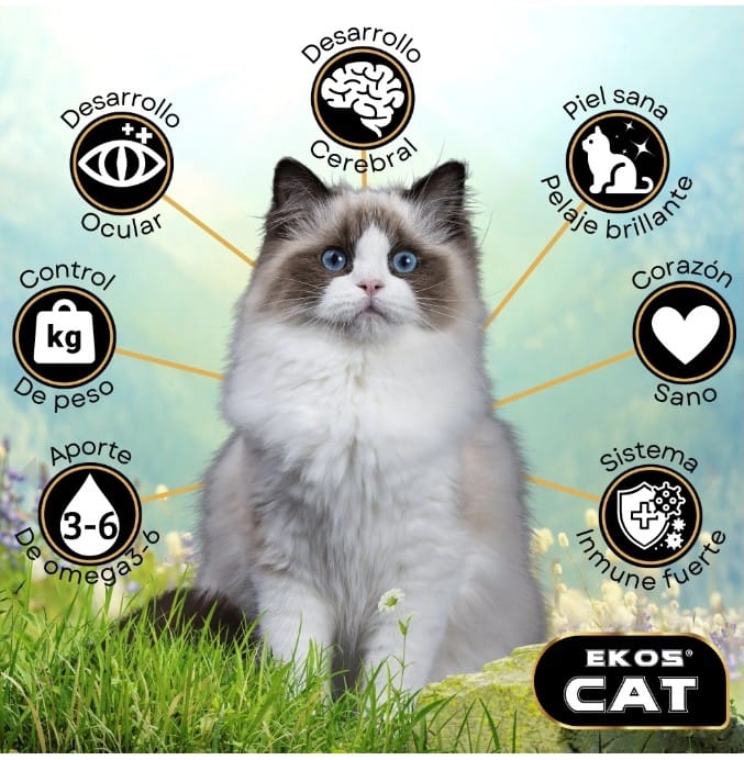 Ekos Cat Gato Adulto 16 kg - Imagen 4